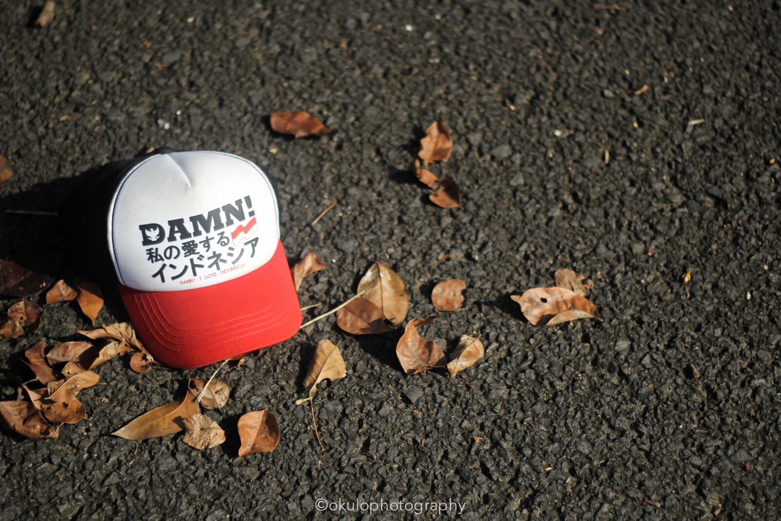 Canon EOS 60D + Canon EF 50mm F1.8 II sample photo. Art, cap, classic, hat photography