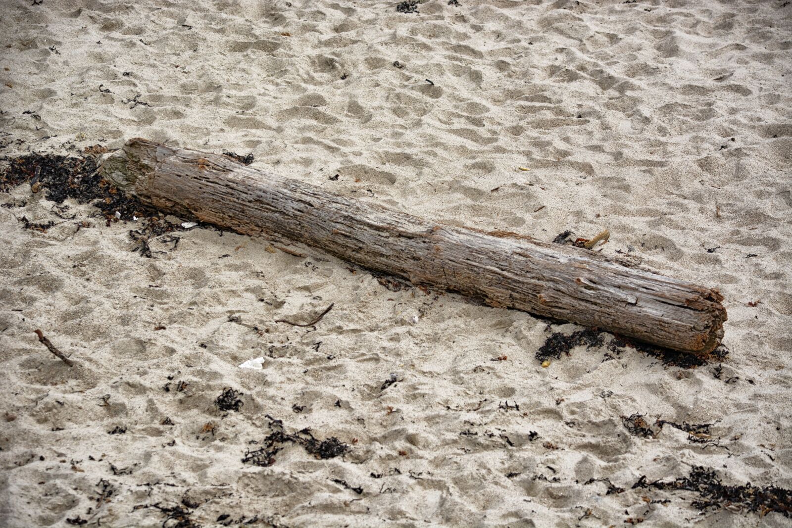 Nikon D5200 sample photo. Bois, bois, flotte, la photography