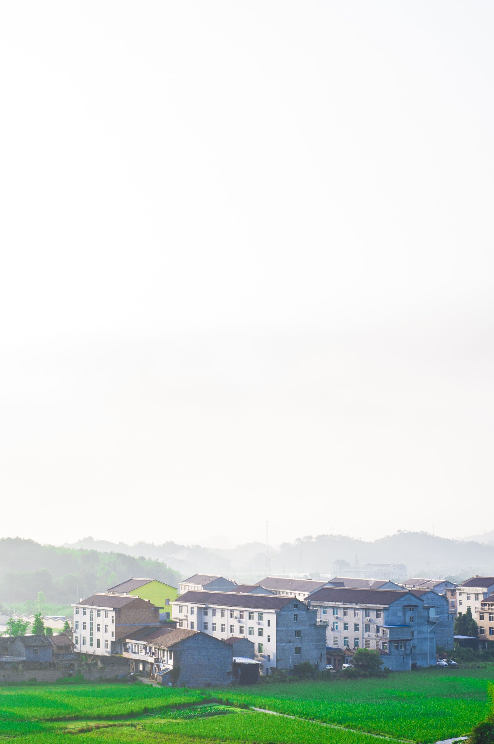 Nikon D90 sample photo. 风景, 自然, 田园 photography