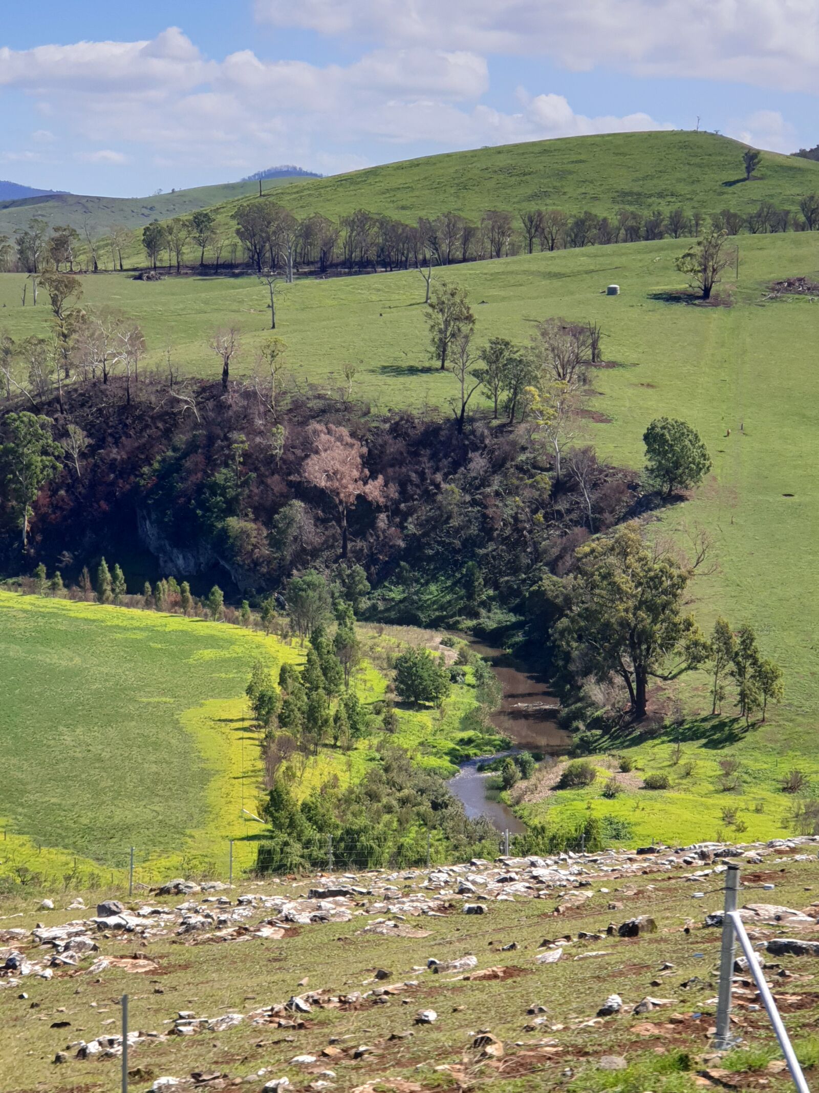 Samsung Galaxy S9+ sample photo. Landscape, river, australia photography