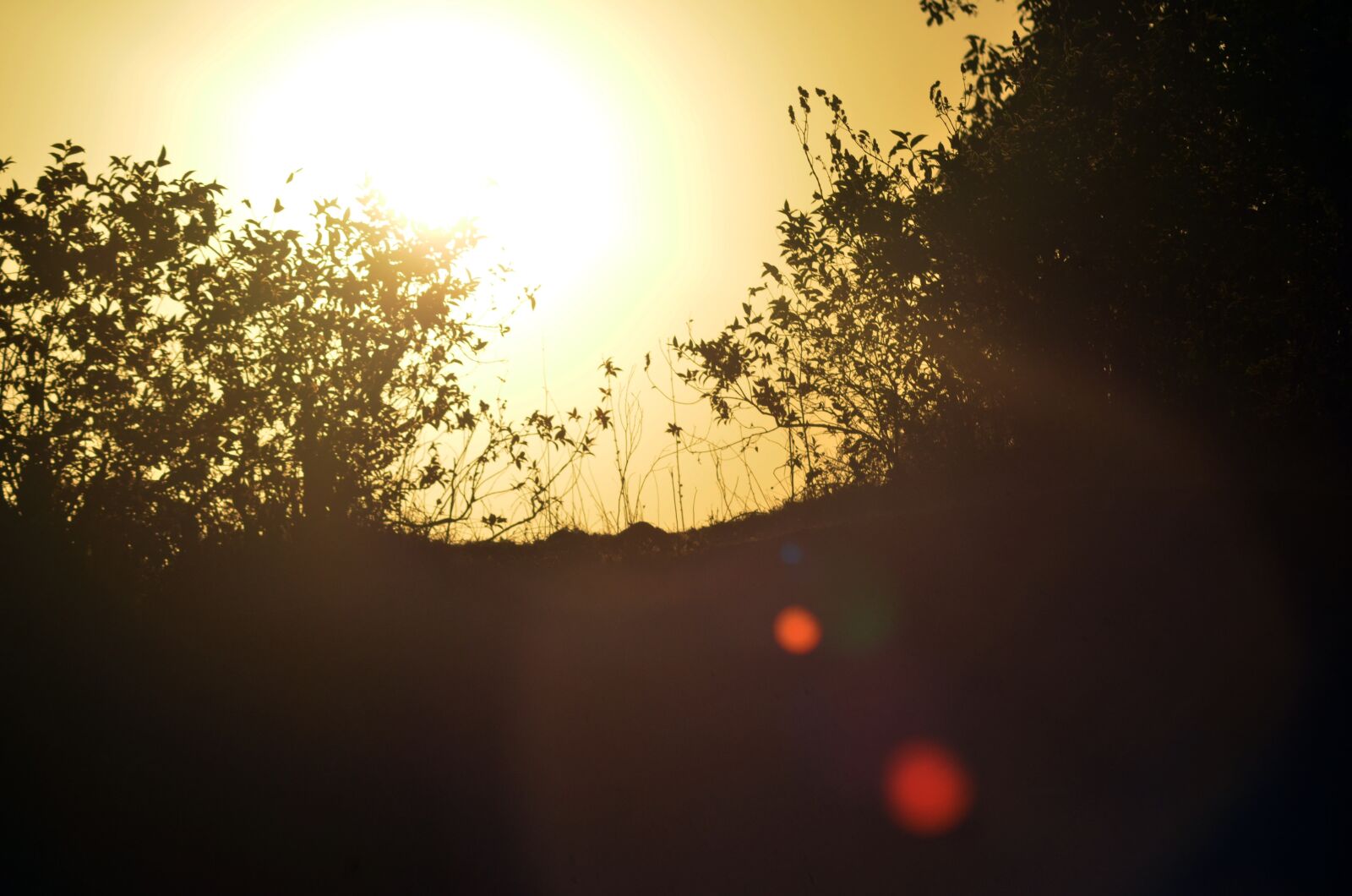 Nikon D5100 sample photo. Sunset, silhouette, sun photography