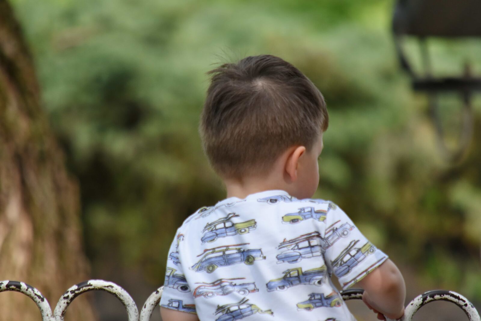 Nikon D5500 sample photo. Boy, fence, park, childhood photography