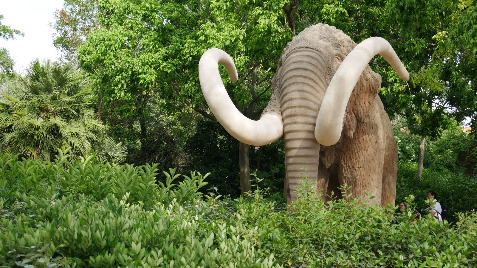 Panasonic DMC-G70 sample photo. Mammoth, elephant, green photography