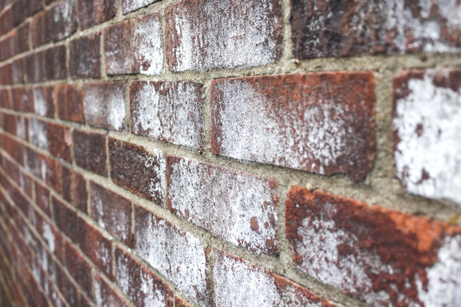Canon EOS 550D (EOS Rebel T2i / EOS Kiss X4) sample photo. Wall, brick, old, texture photography