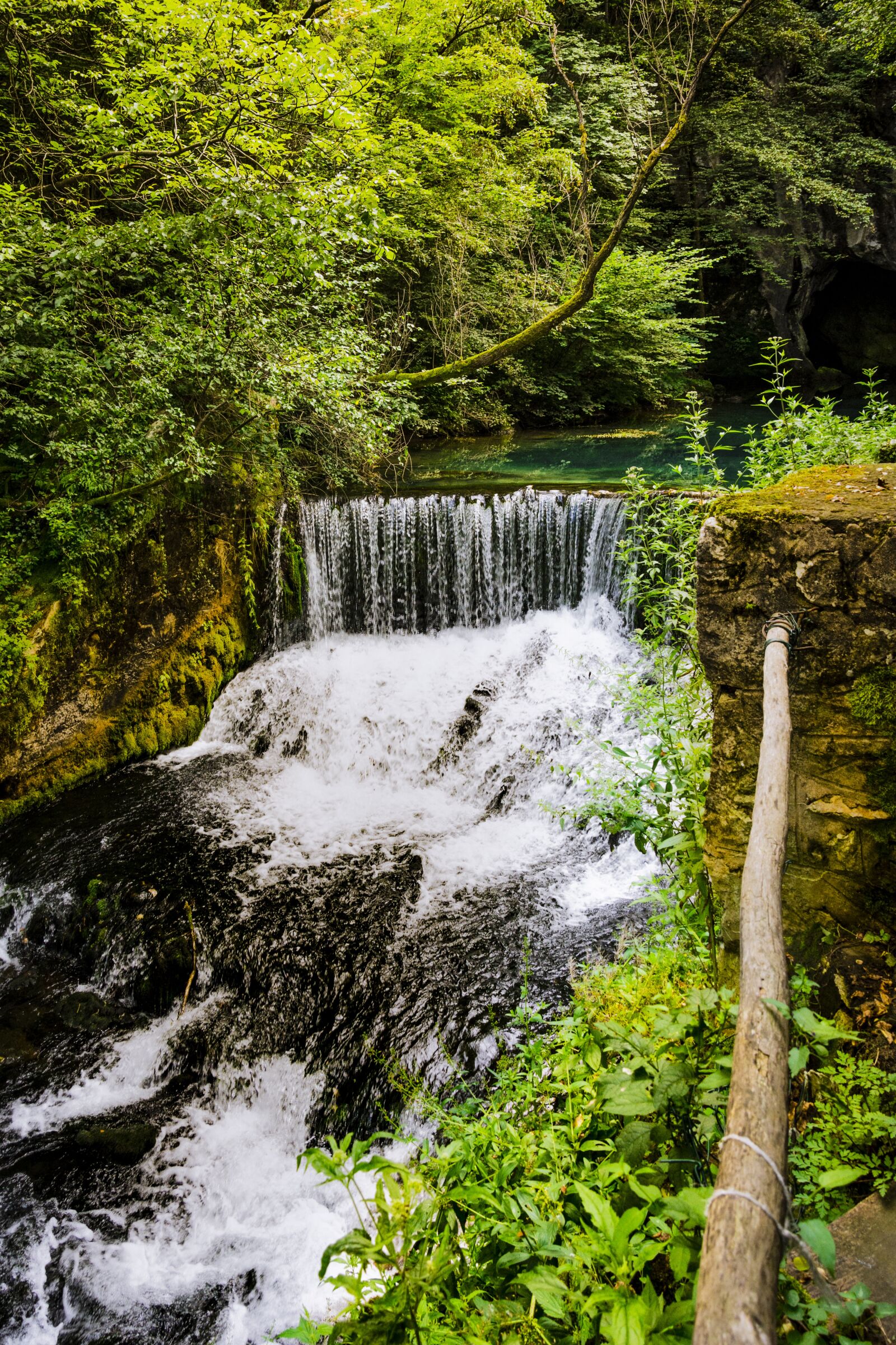Nikon D7200 sample photo. Water, nature, green photography