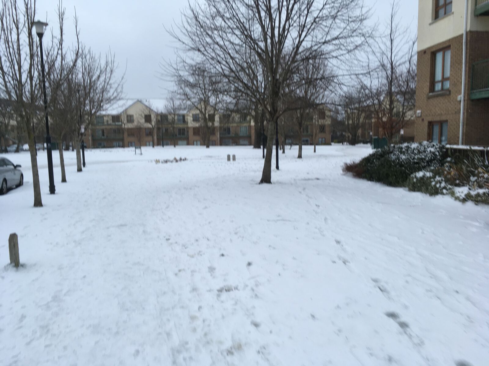 iPhone SE back camera 4.15mm f/2.2 sample photo. Snow, winter, cold photography