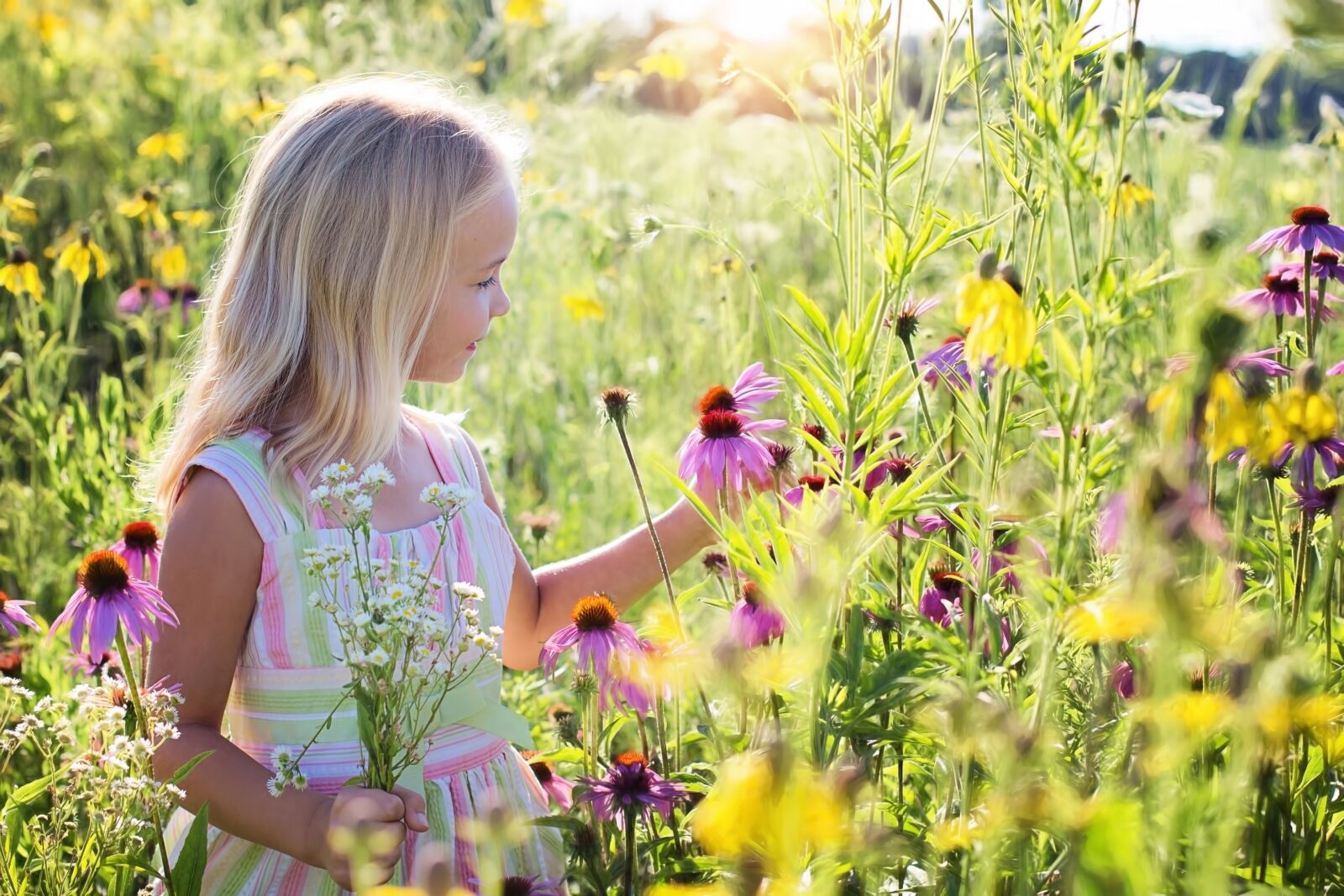Canon EF 50mm F1.4 USM sample photo. Little girl, wildflowers, meadow photography