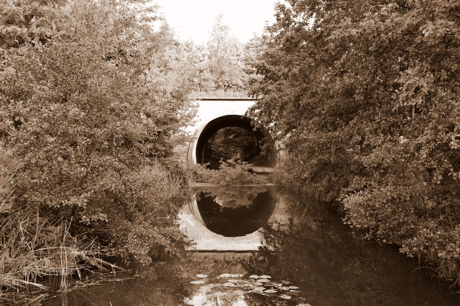 Nikon D3100 sample photo. Bridge, river, architecture photography