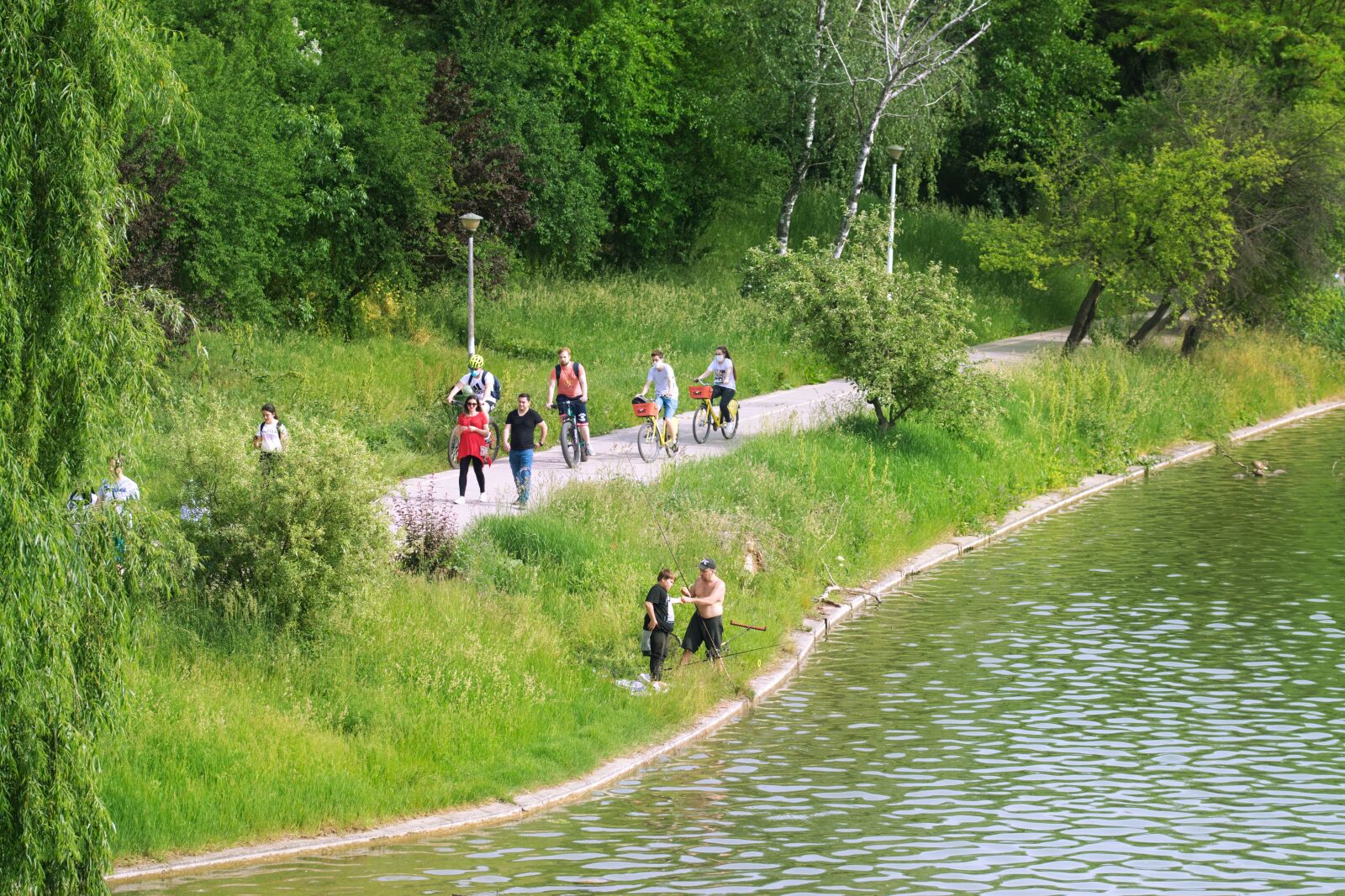 Nikon D5300 sample photo. Landscape, nature, park photography