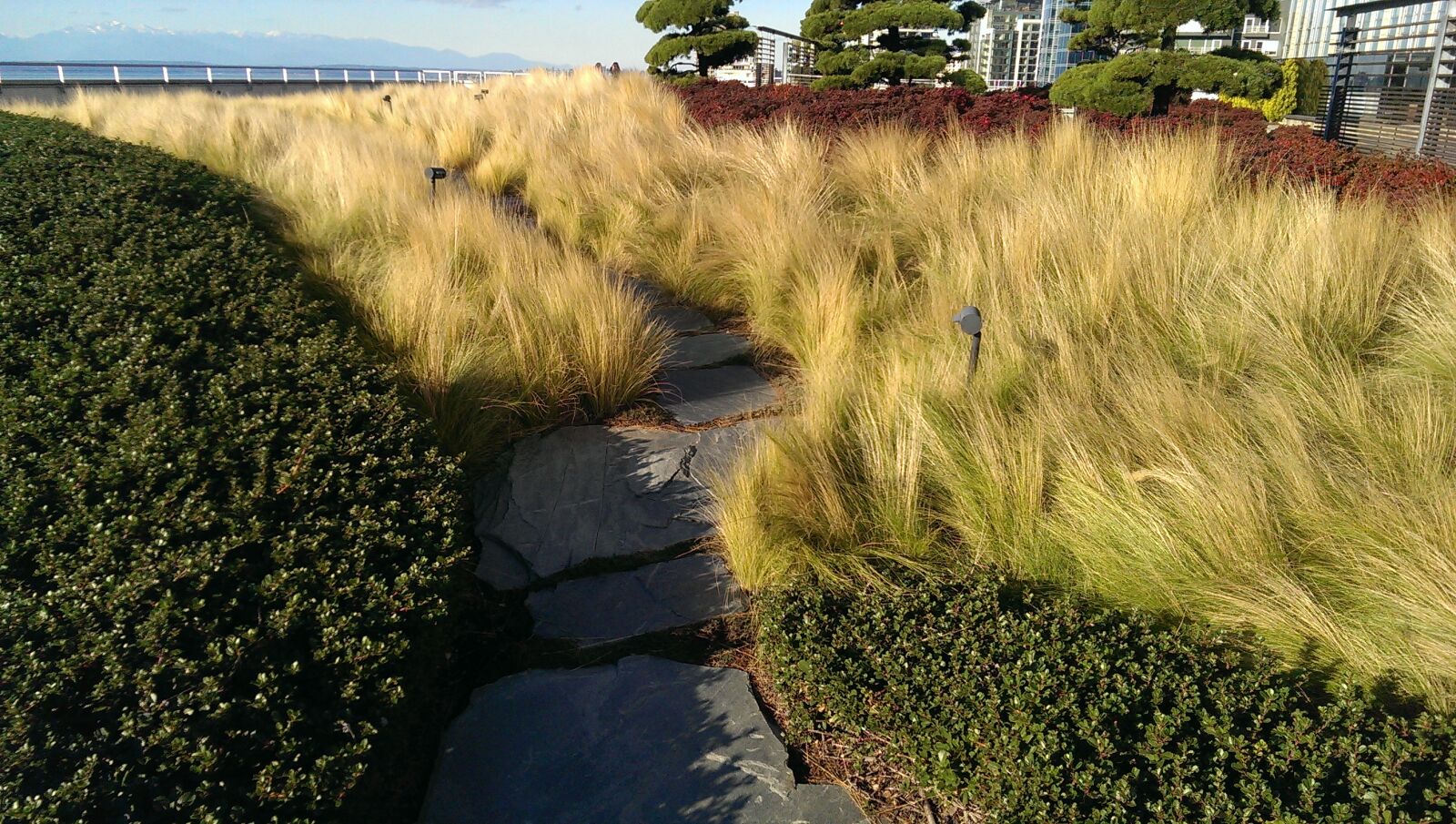 HTC ONE sample photo. Green, roof, landscape, architecture photography