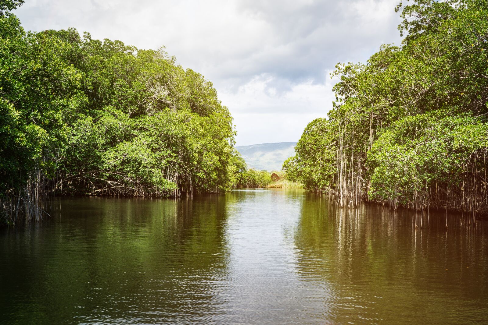 Sony a6000 + Sony E PZ 18-105mm F4 G OSS sample photo. Jamaica, black river, landscape photography