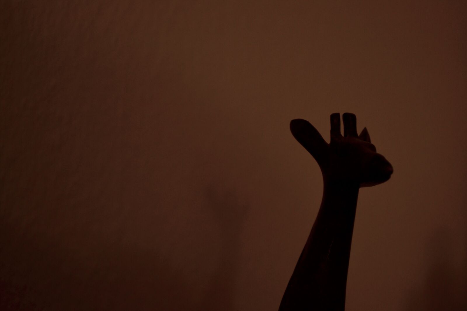 Nikon D3100 sample photo. Animal, girafe, night, shadow photography