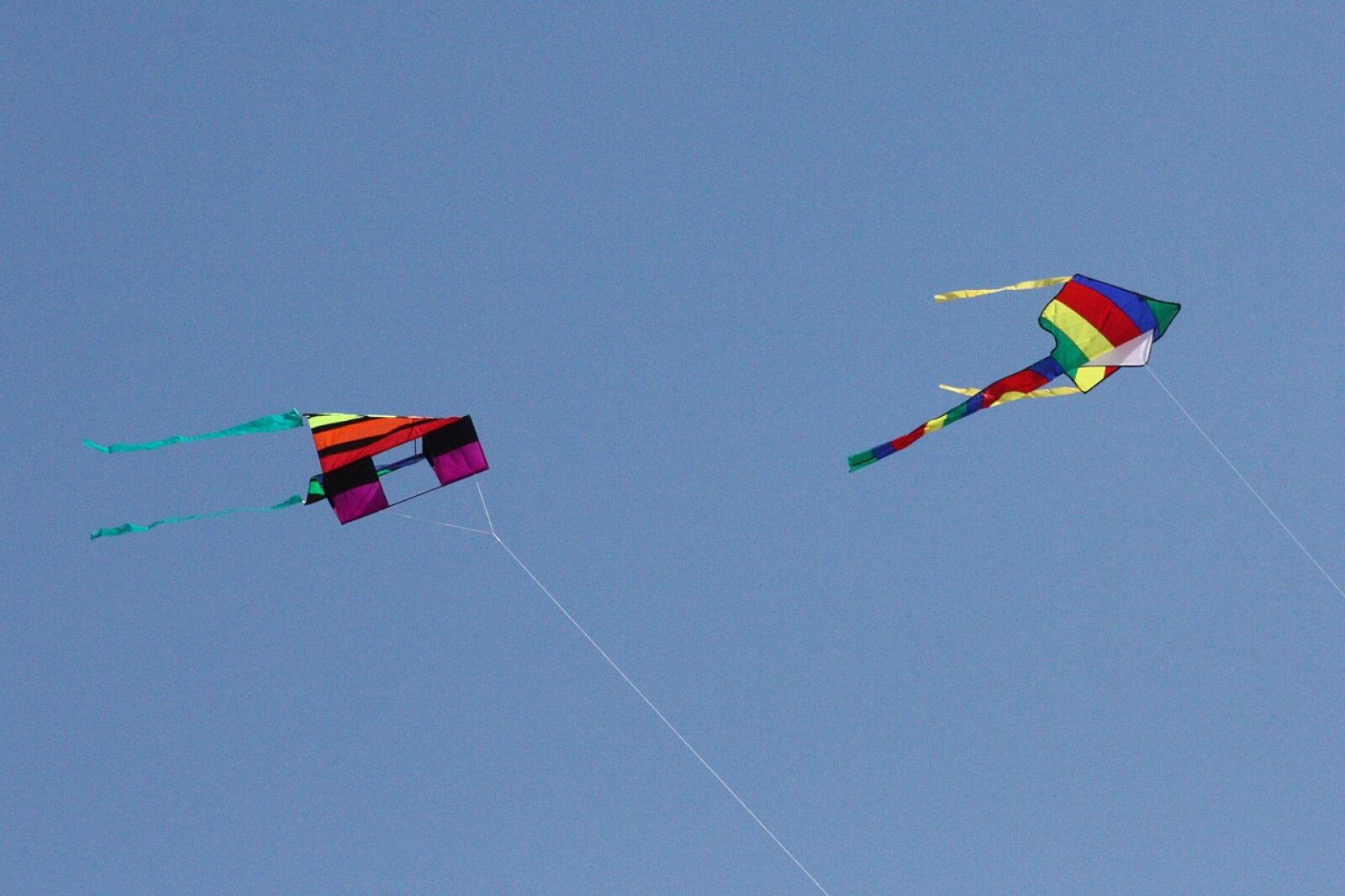 Canon EOS 450D (EOS Rebel XSi / EOS Kiss X2) sample photo. Kite, colourful, flying photography
