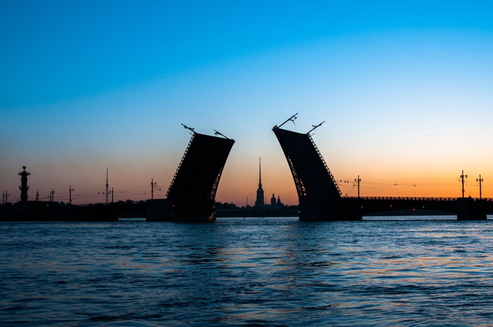 Nikon D300S sample photo. Architecture, the palace bridge photography