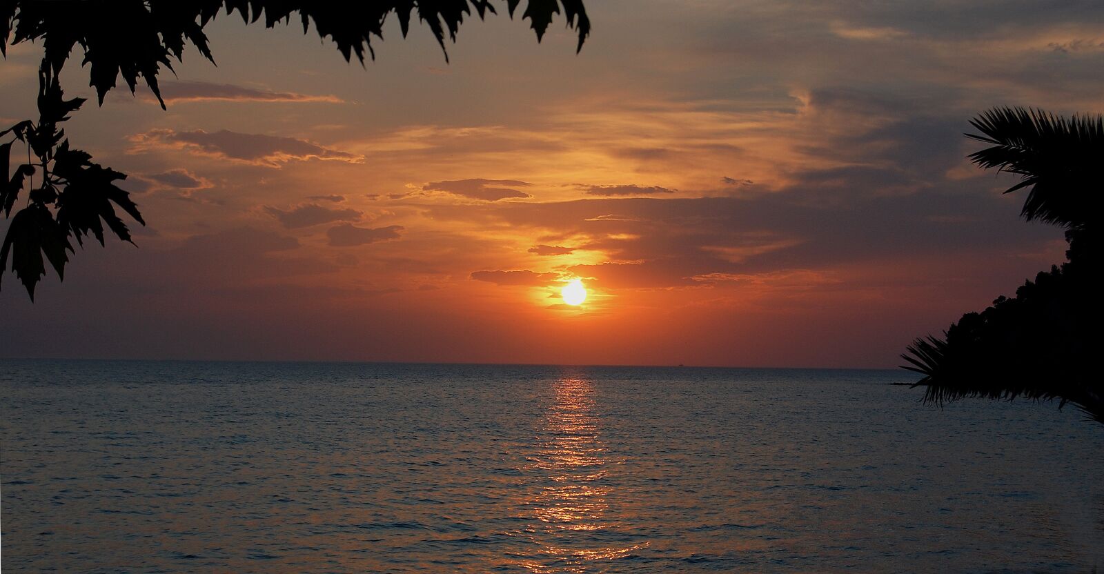 Nikon D40 sample photo. Sun, sunset, sunrise photography
