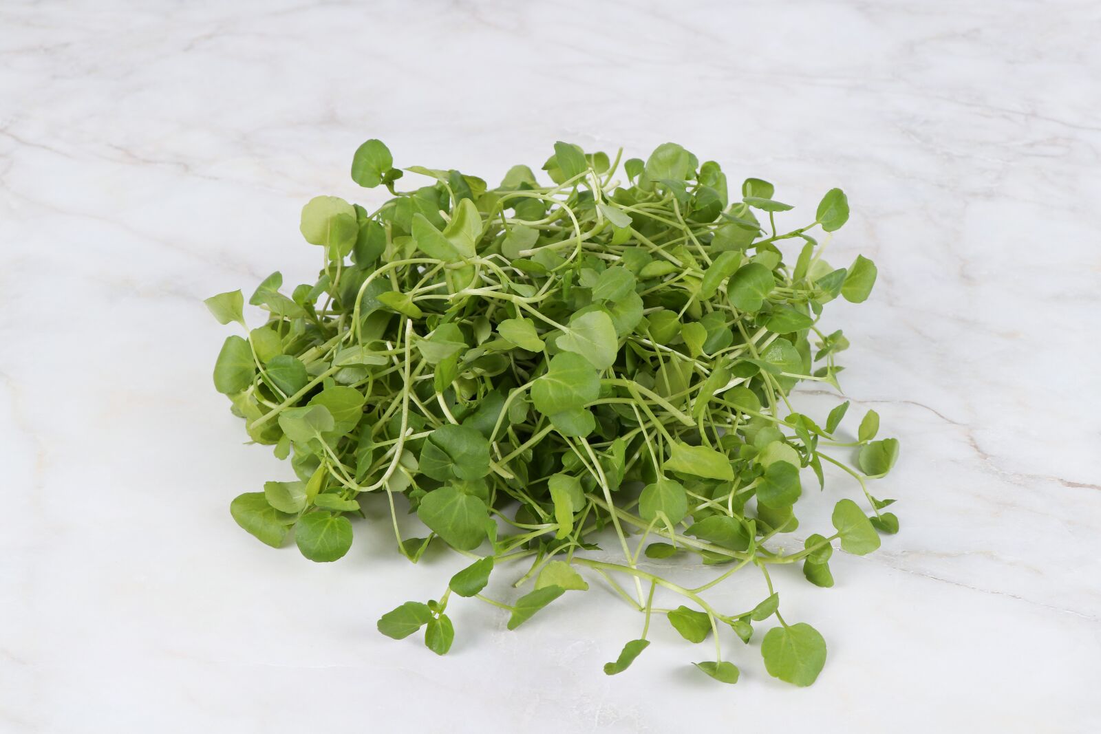 Canon EF-S 18-135mm F3.5-5.6 IS USM sample photo. Watercress, crazy la, cresson photography