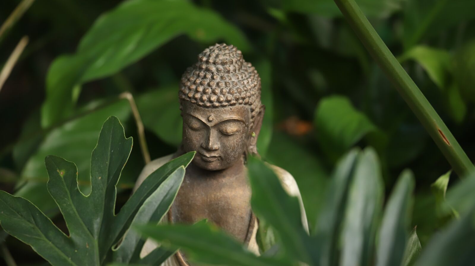 Canon EF 100-400mm F4.5-5.6L IS USM sample photo. Buda, garden, sculpture photography