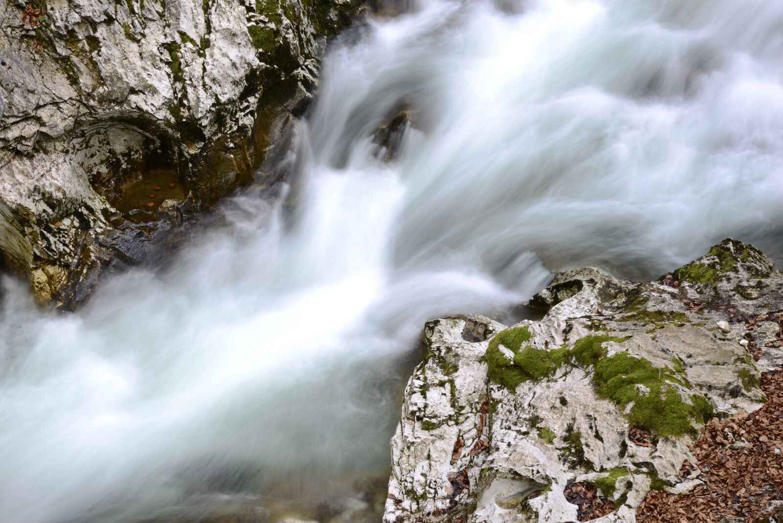 Nikon D610 sample photo. River, stone, clammy photography