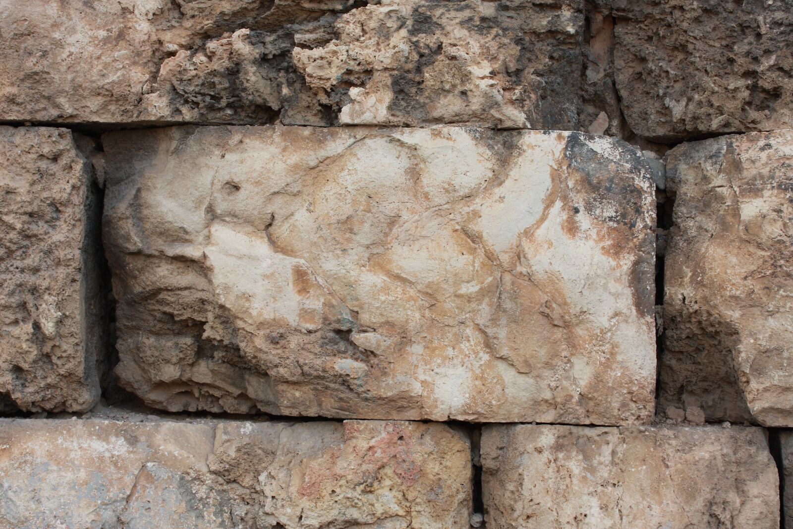 Canon EOS 40D sample photo. Wall, texture, vivid color photography