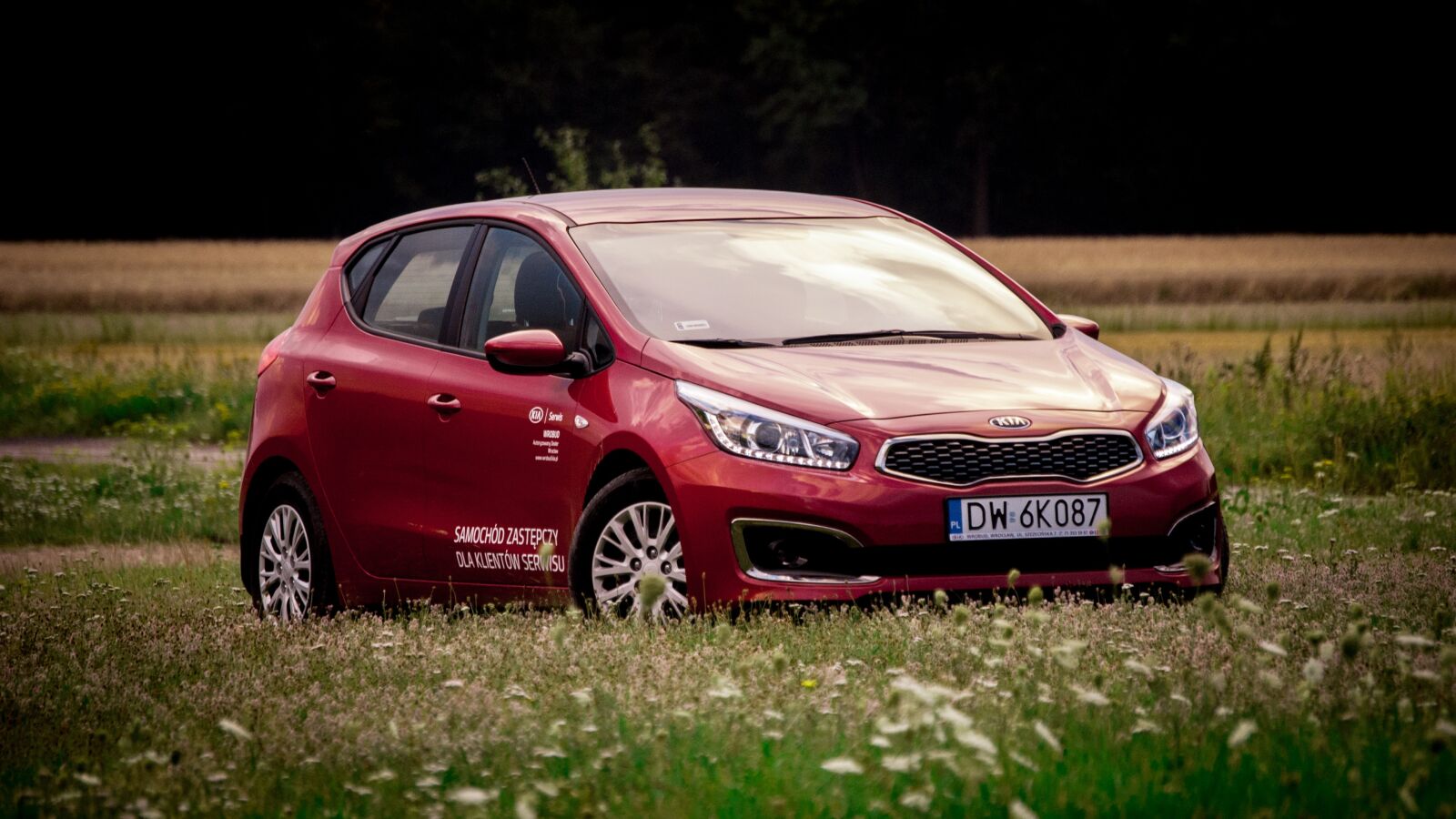Nikon D60 sample photo. Car, kia, korea photography