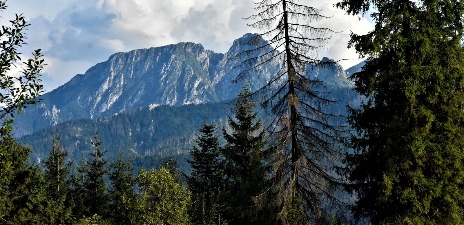 Nikon D7200 sample photo. Giewont, tatry, mountains photography