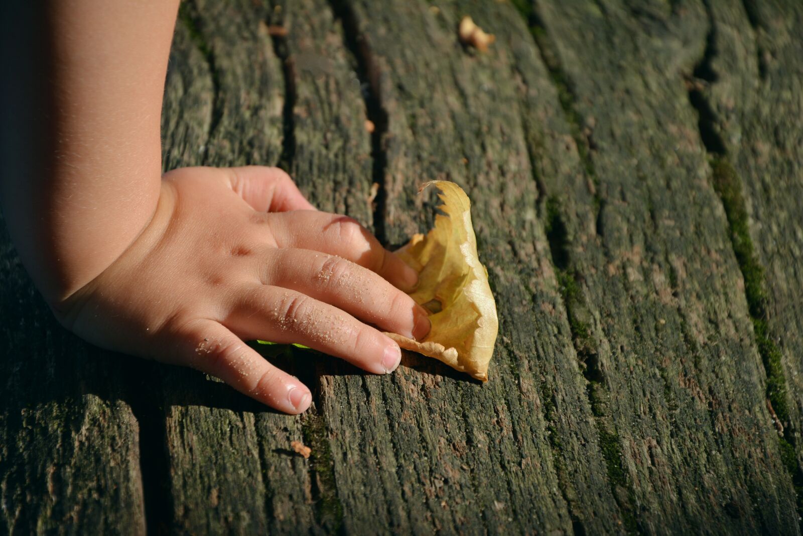 Nikon D5200 sample photo. Hand, child's hand, access photography