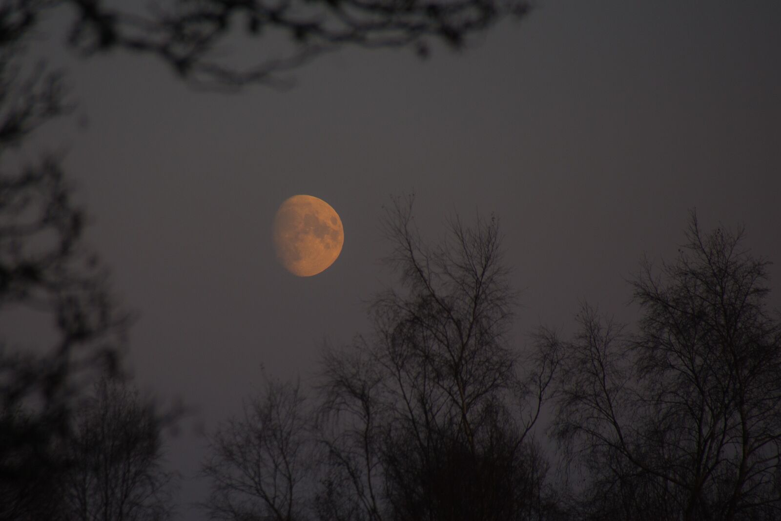 Pentax K-70 sample photo. Moon, night, dark photography