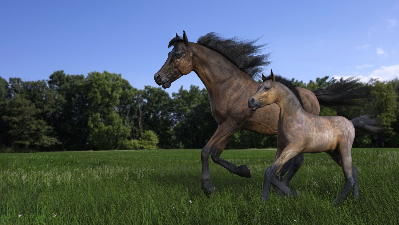 Sony Cyber-shot DSC-RX100 sample photo. Horses, wildlife, animal photography