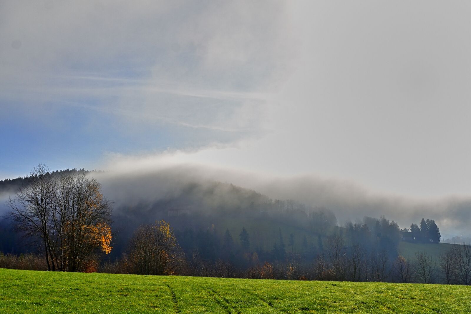 Nikon D5200 sample photo. Landscape, fog, autumn photography