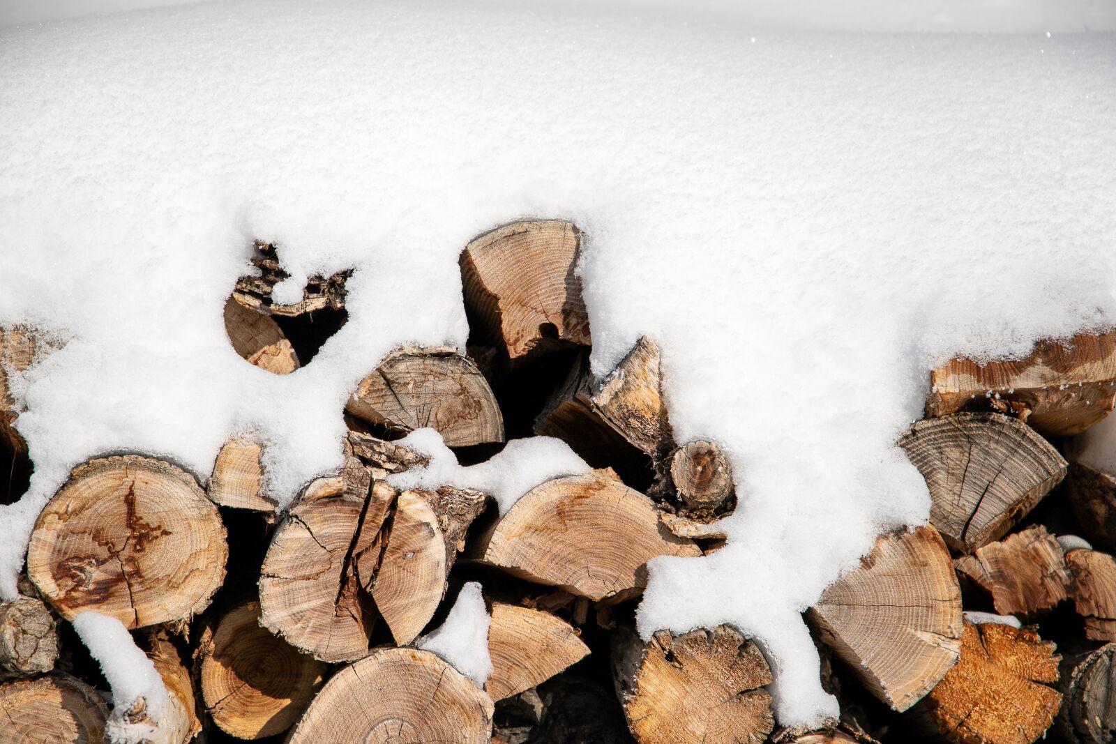 Canon EOS 6D Mark II + Canon EF 24-105mm F3.5-5.6 IS STM sample photo. Snow-covered, logs, wood photography