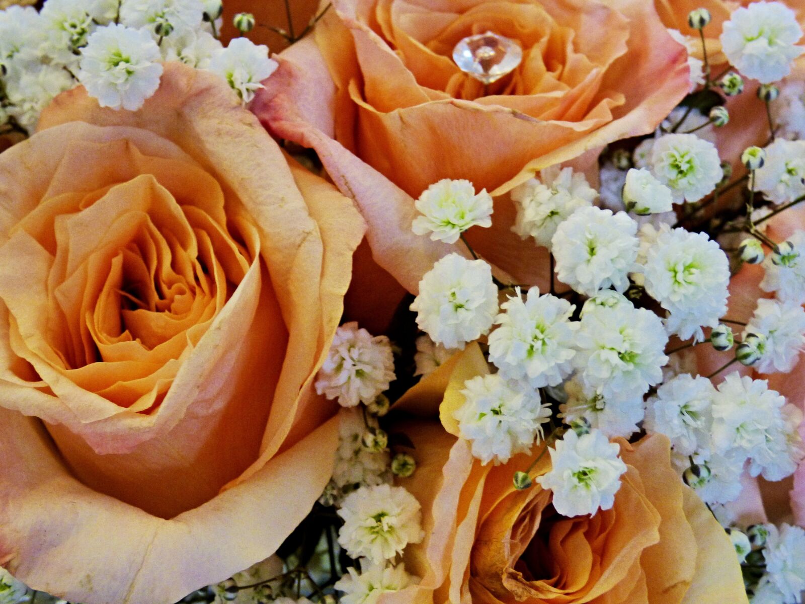 Panasonic DMC-FZ72 sample photo. Bouquet, rose, wedding photography