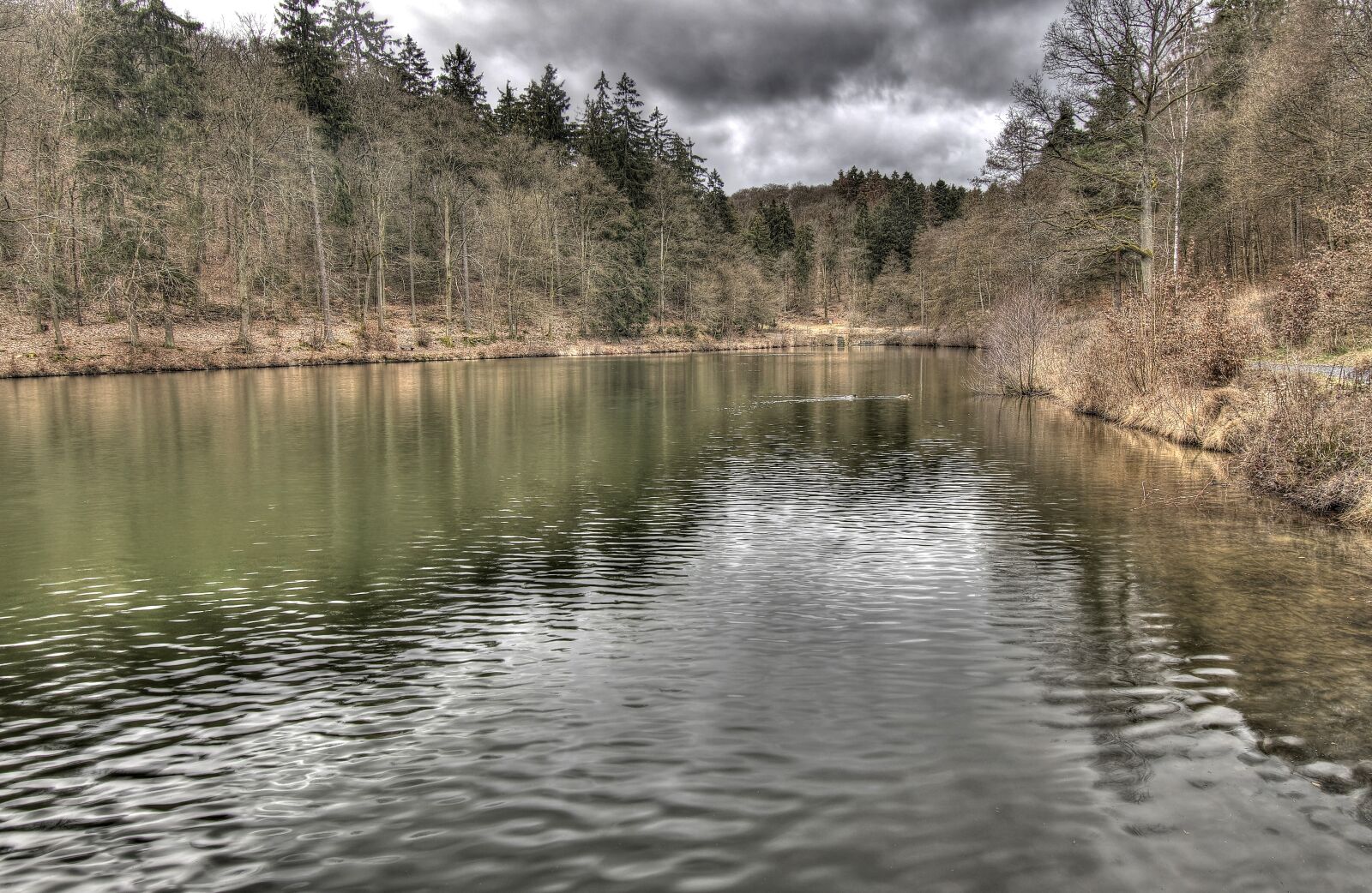 Nikon D500 sample photo. Lake, forest, clouds photography