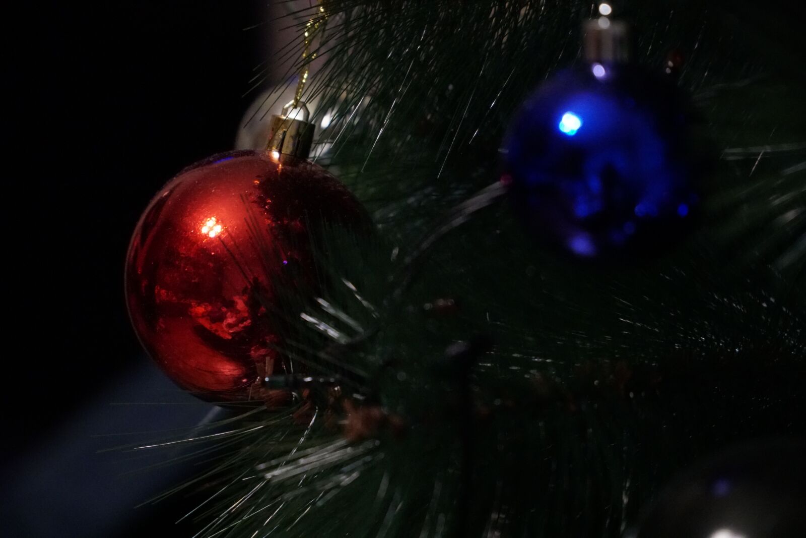 Sony a6500 sample photo. Christmas, tree, lampion photography