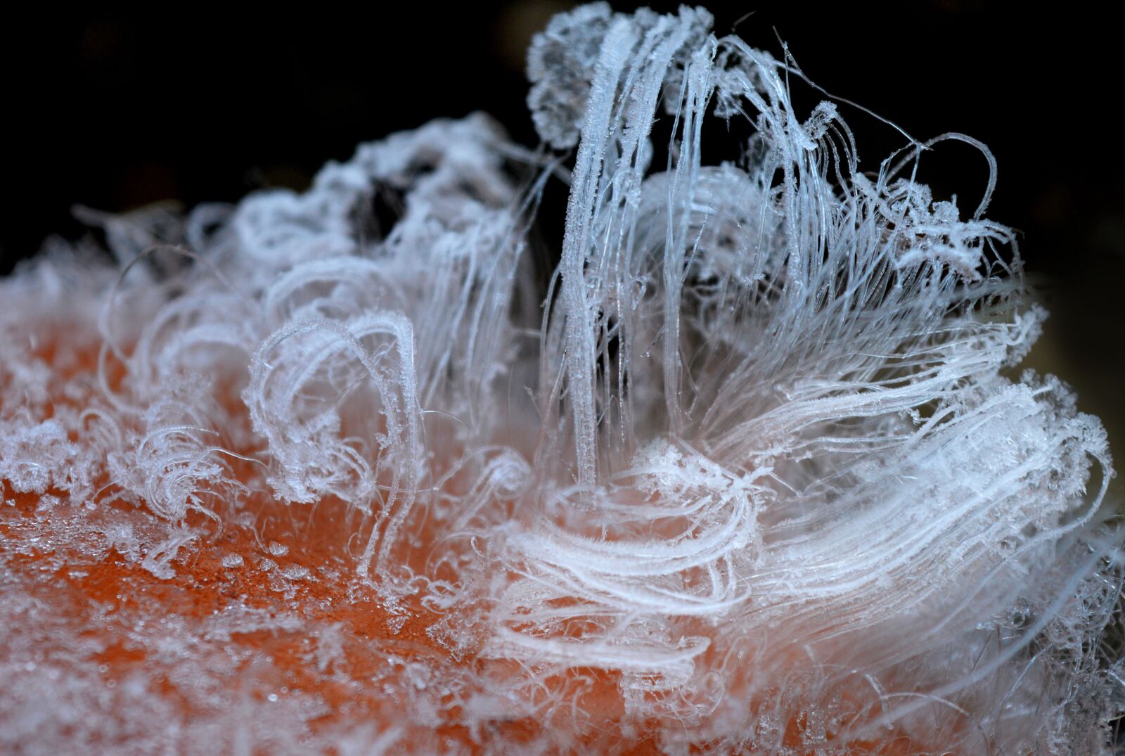 Nikon D3200 sample photo. Eiskristalle, ice formations, frost photography