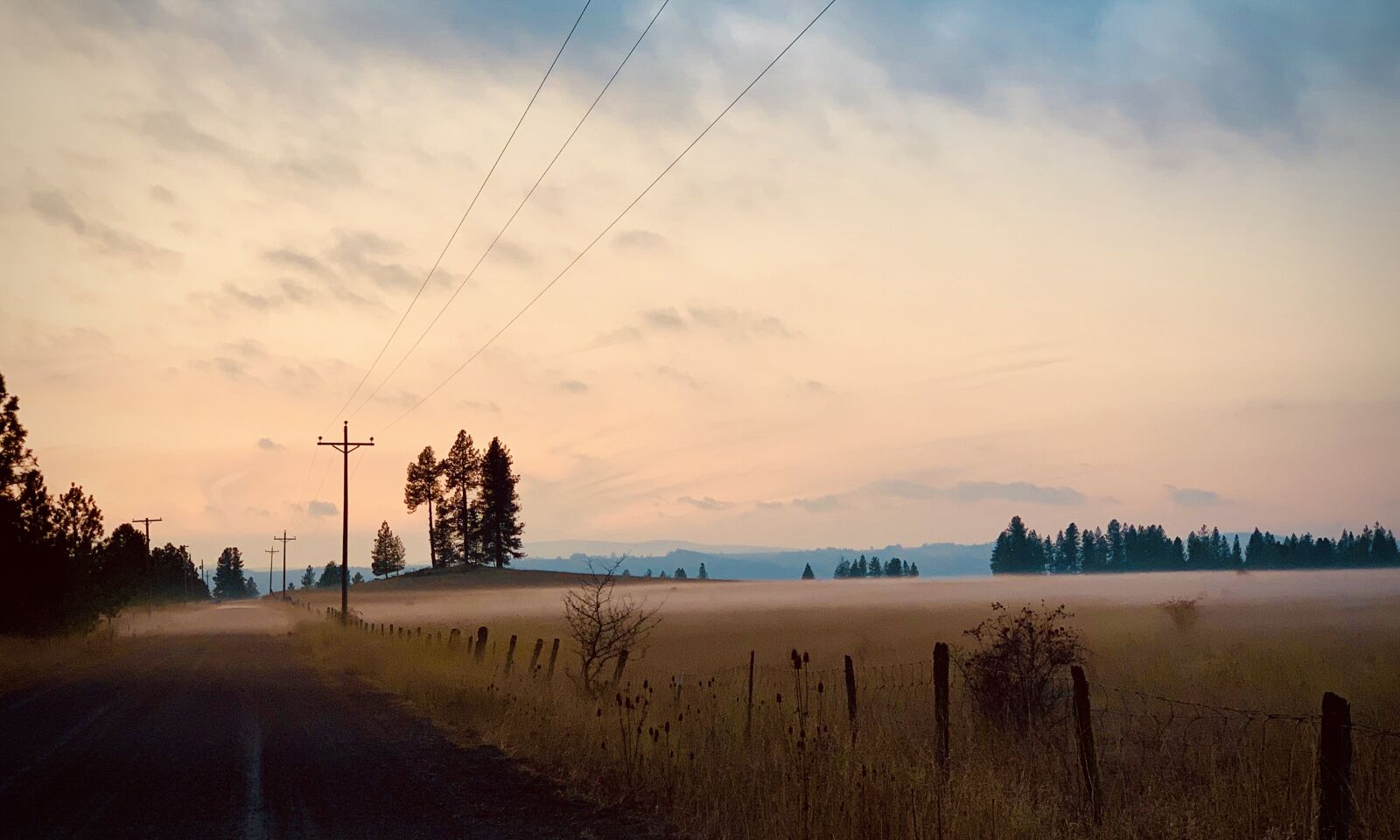 Apple iPhone XS Max sample photo. Country road, fog, landscape photography