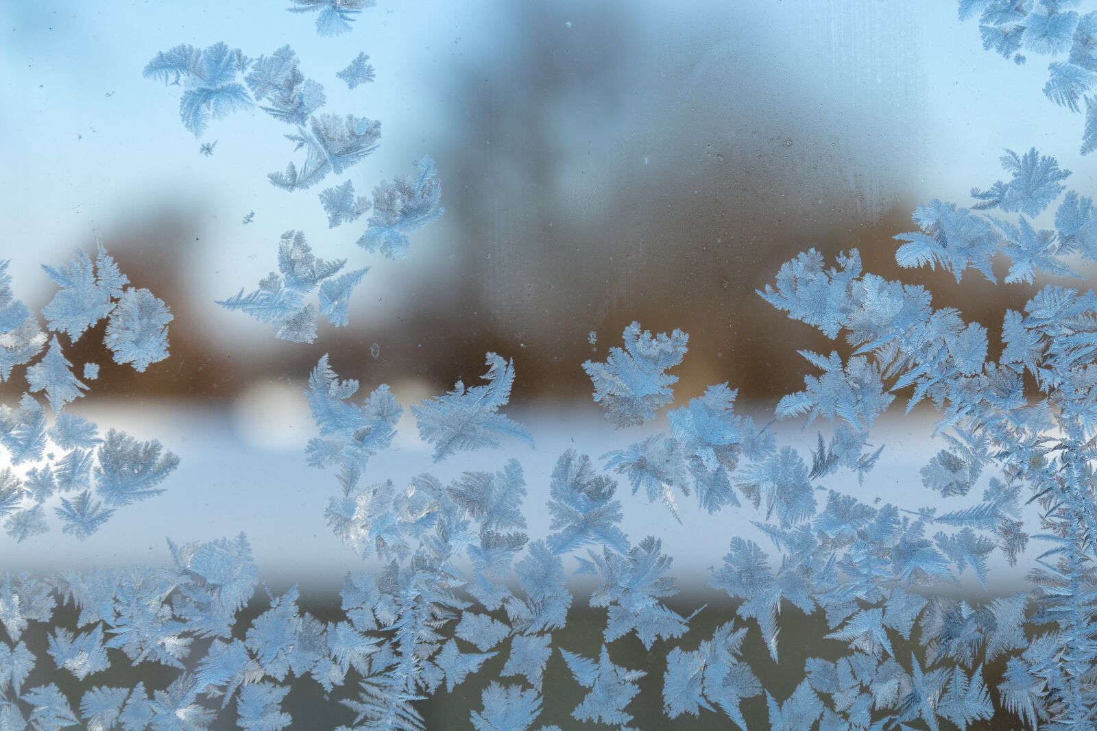 Canon EOS 1300D (EOS Rebel T6 / EOS Kiss X80) sample photo. Leann, frost, window photography