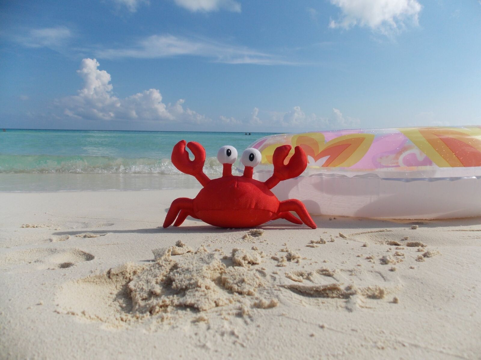 Nikon COOLPIX L320 sample photo. Crab, vacation, beach photography