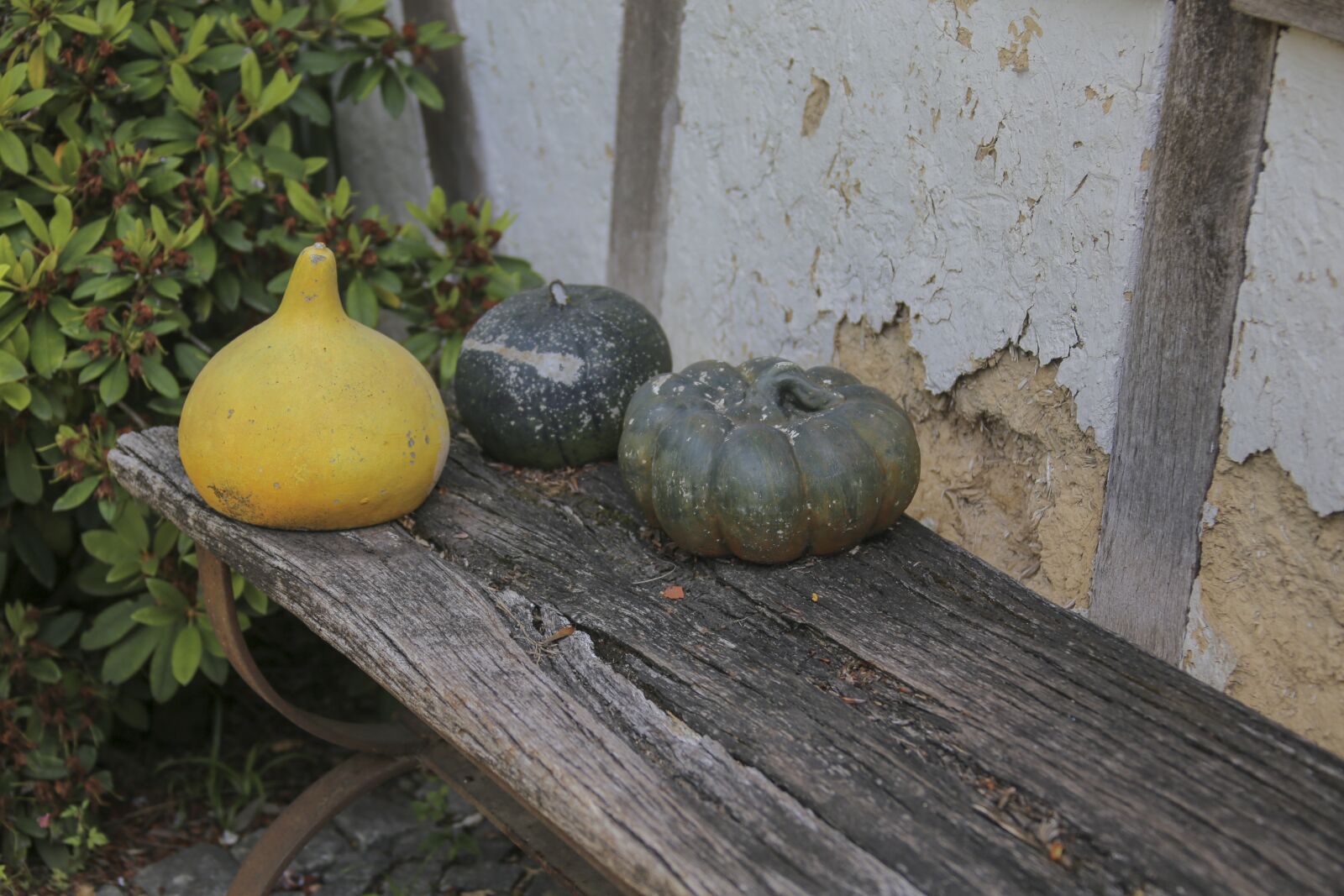 Canon EF 28-300mm F3.5-5.6L IS USM sample photo. Pumpkin, country house, land photography