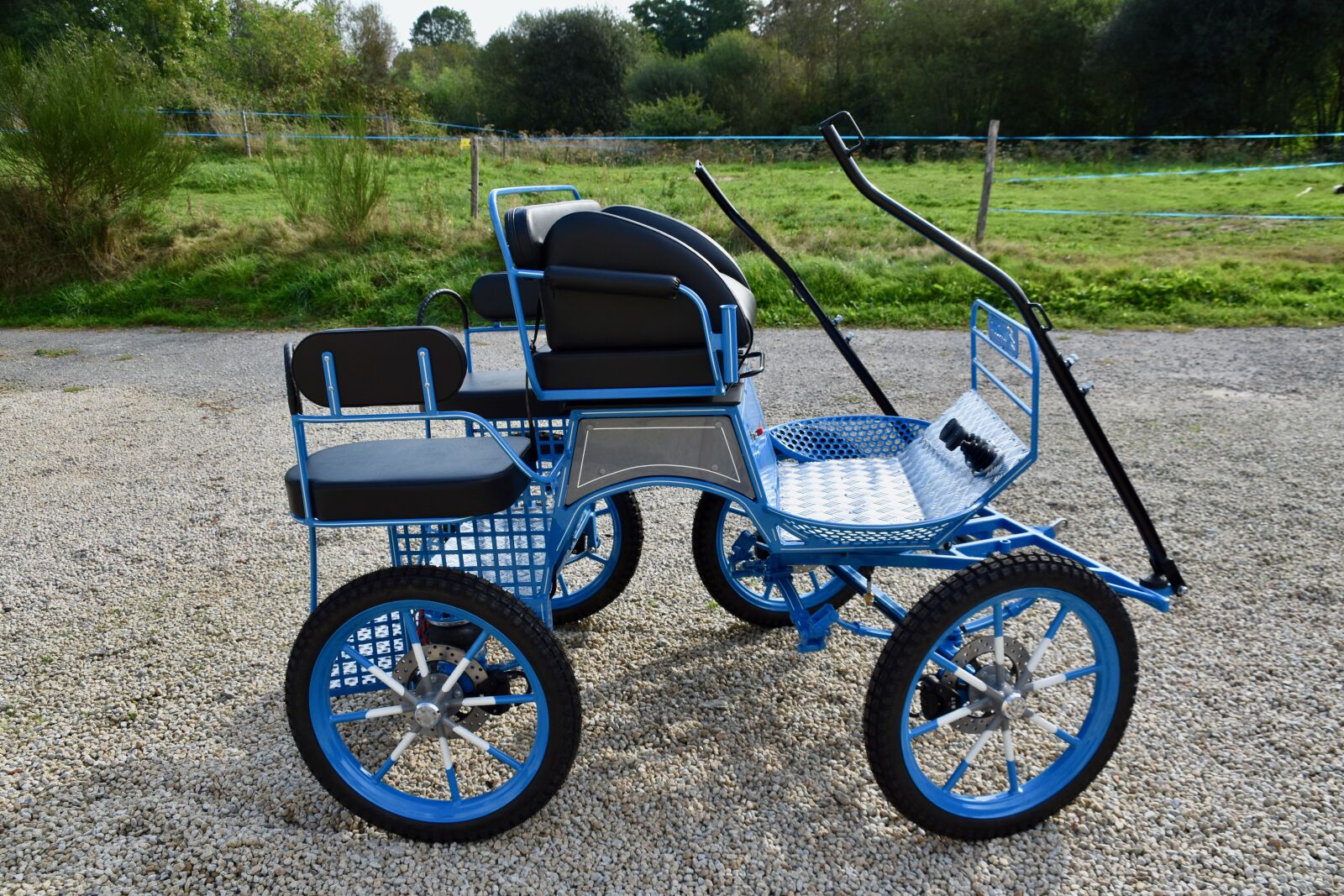 Nikon D5600 sample photo. Carriage, walks, pony hitch photography