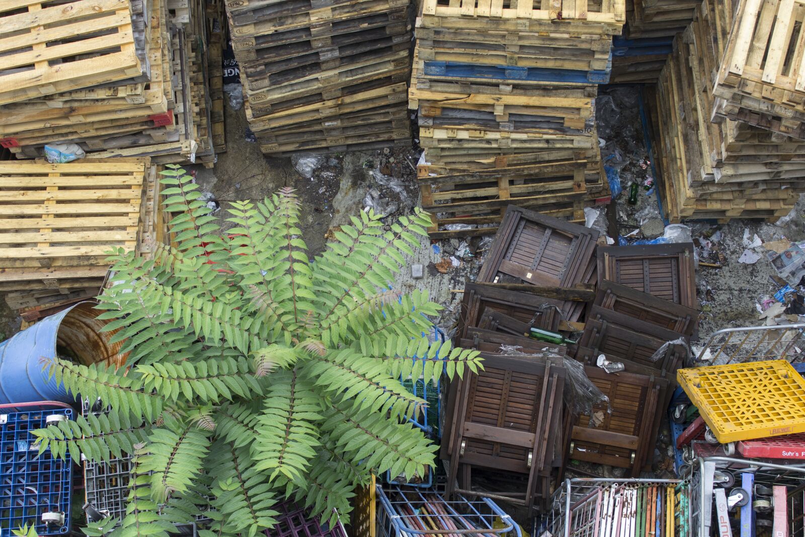 Canon EOS 1200D (EOS Rebel T5 / EOS Kiss X70 / EOS Hi) sample photo. Garbage, waste, wood photography