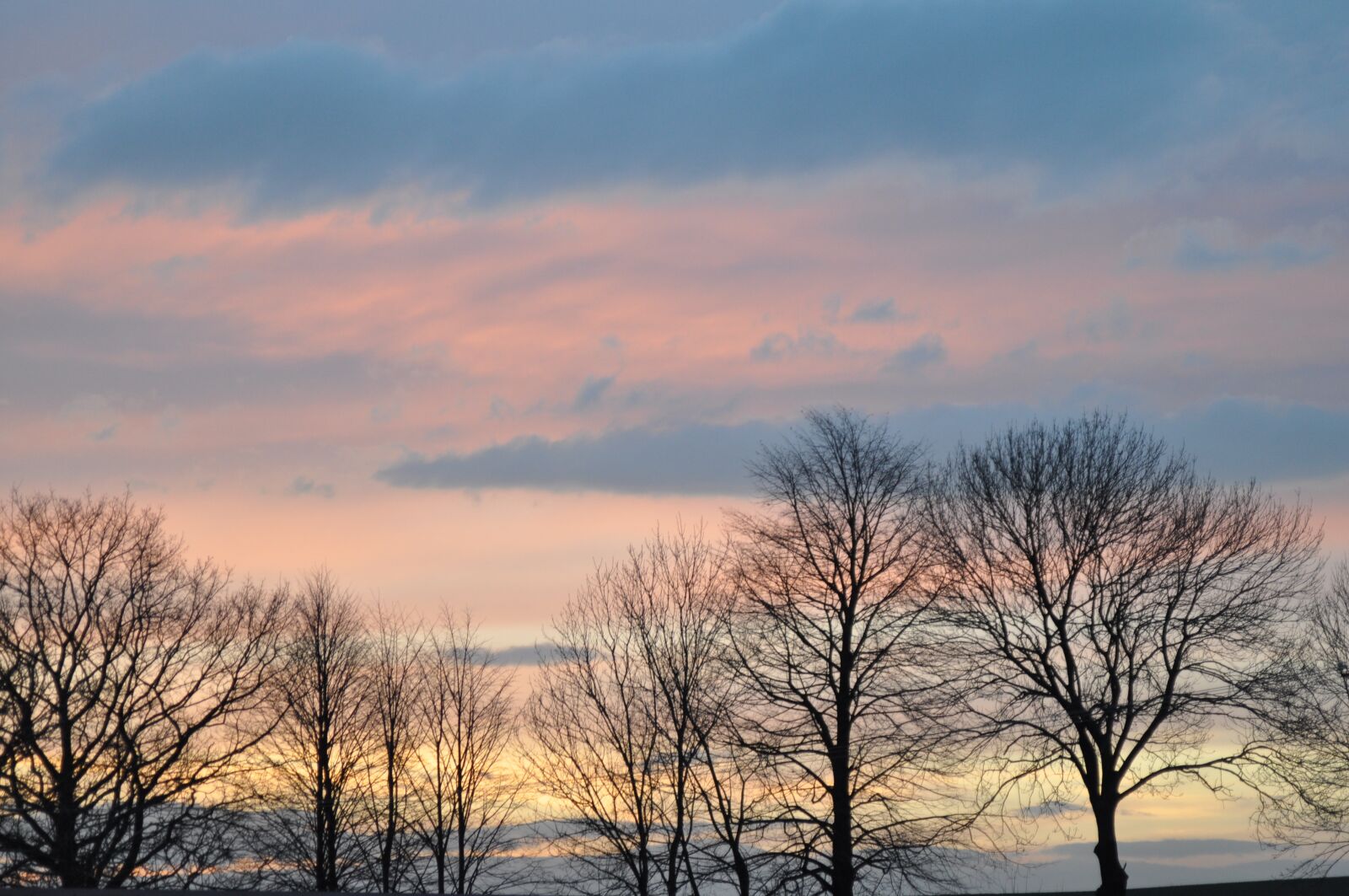 Nikon D90 sample photo. Nature, the dawn family photography