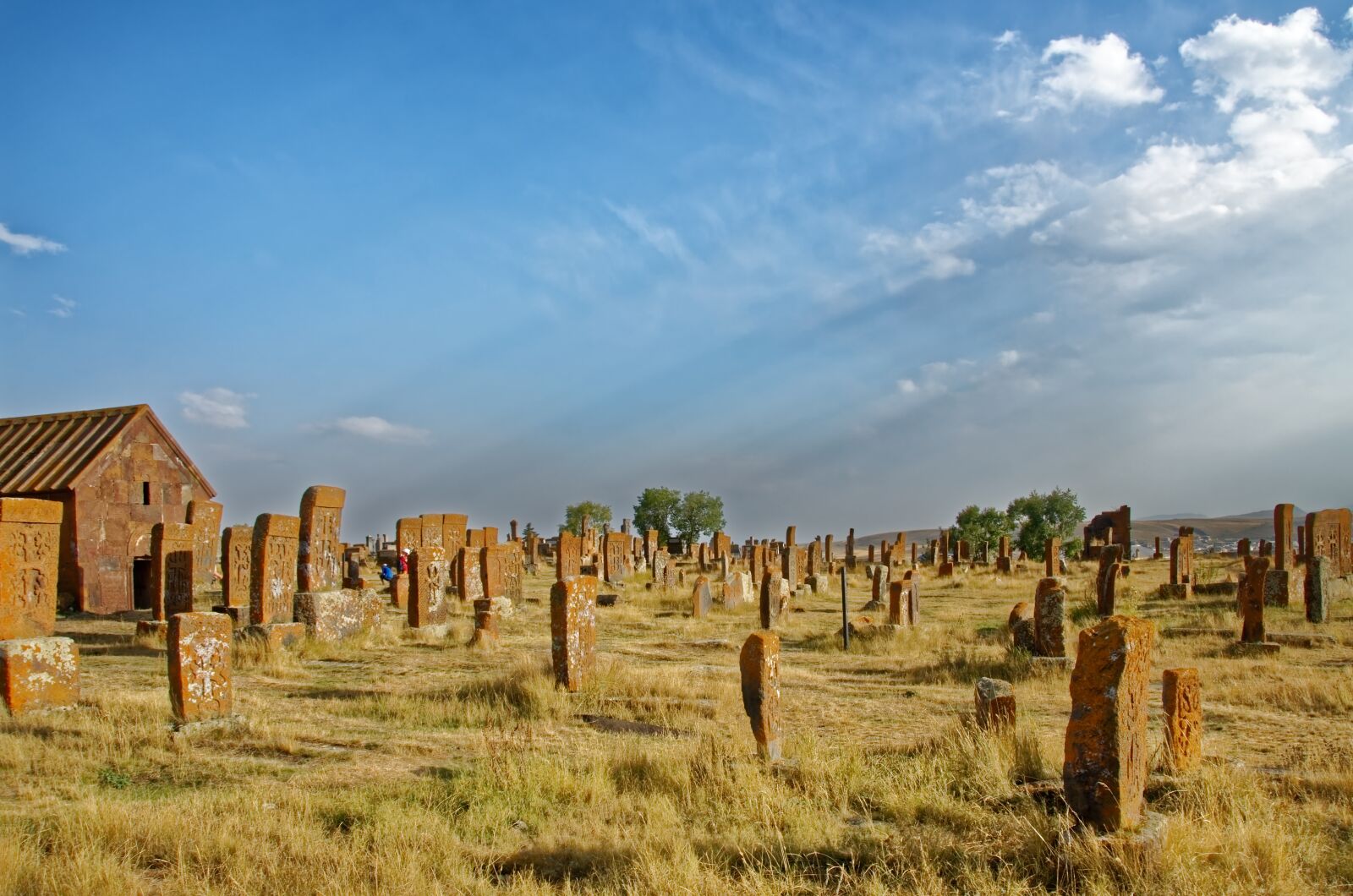 Nikon D7000 sample photo. Armenia, the cemetery of photography