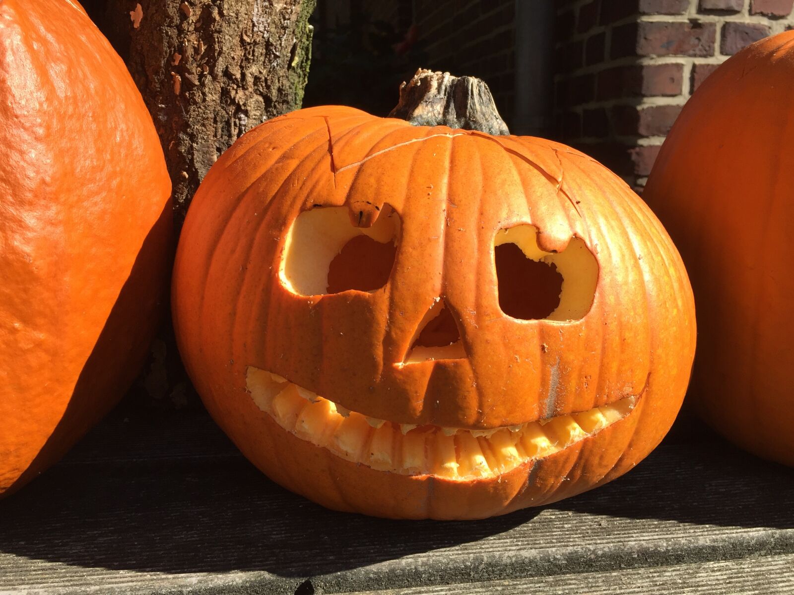 iPhone 6 Plus back camera 4.15mm f/2.2 sample photo. Pumpkin, halloween, ghosts photography