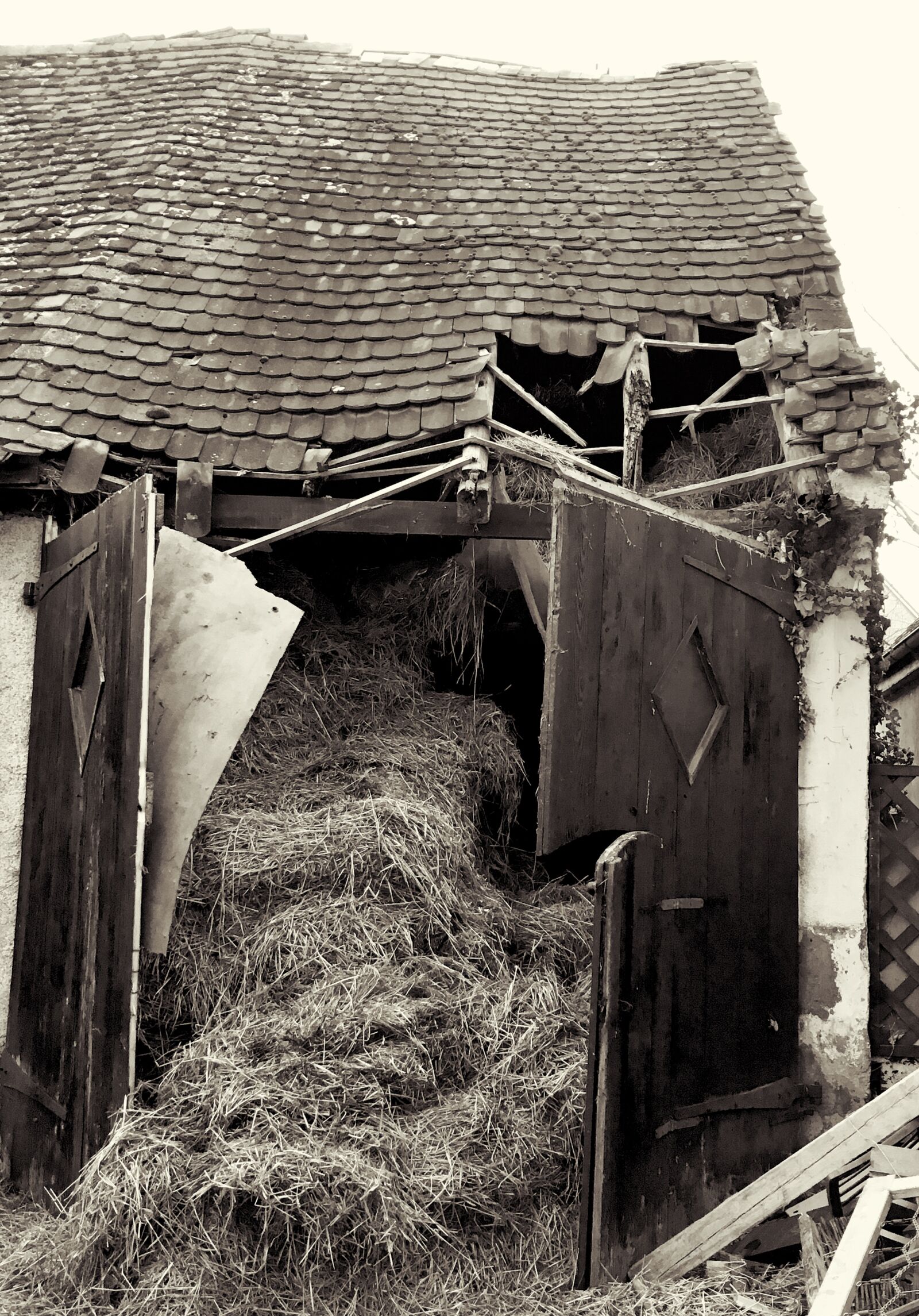 Apple iPhone 6s sample photo. Barn, straw, straw bales photography