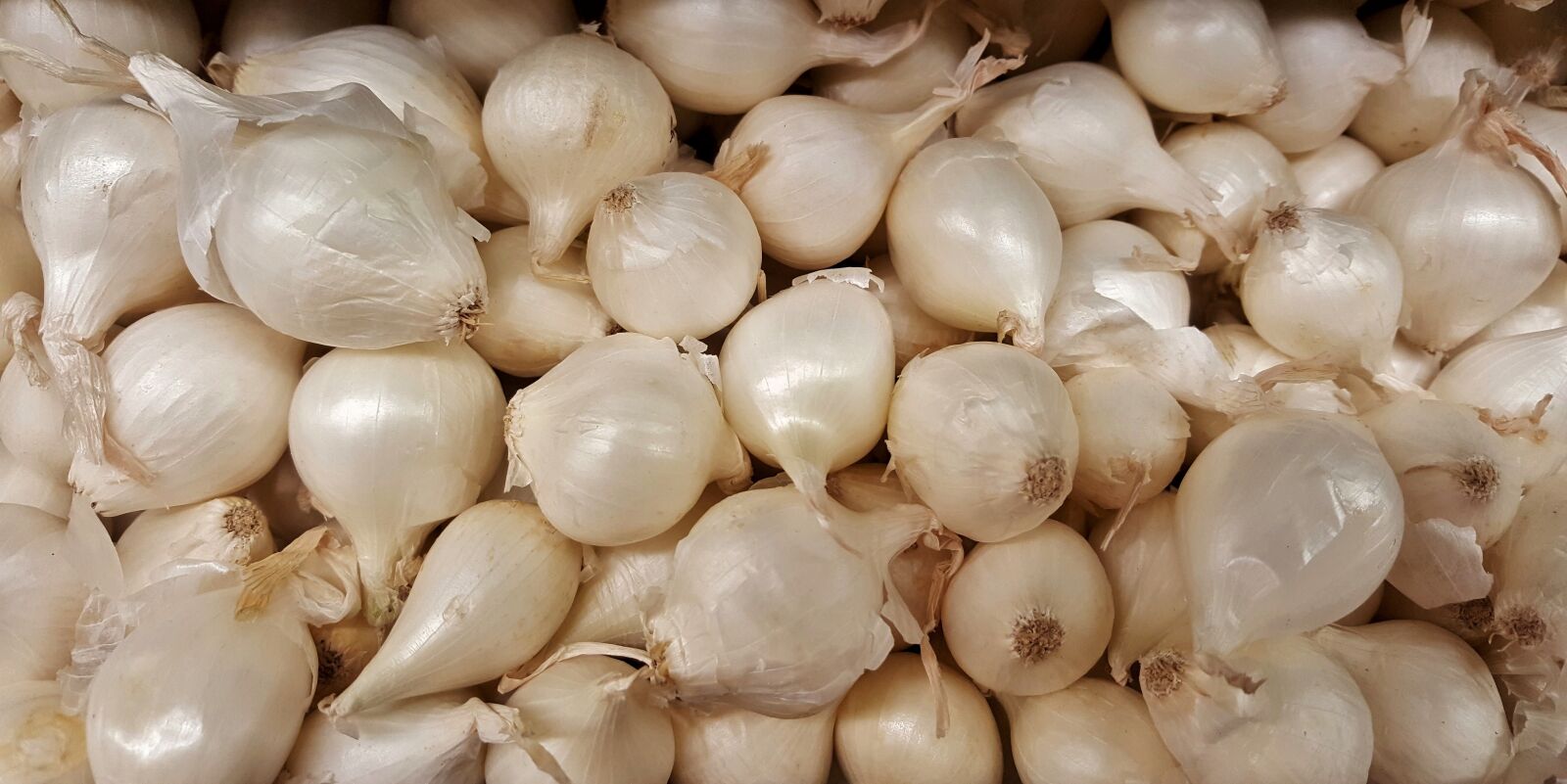Samsung Galaxy Note5 sample photo. Onions, pearl onions, vegetables photography