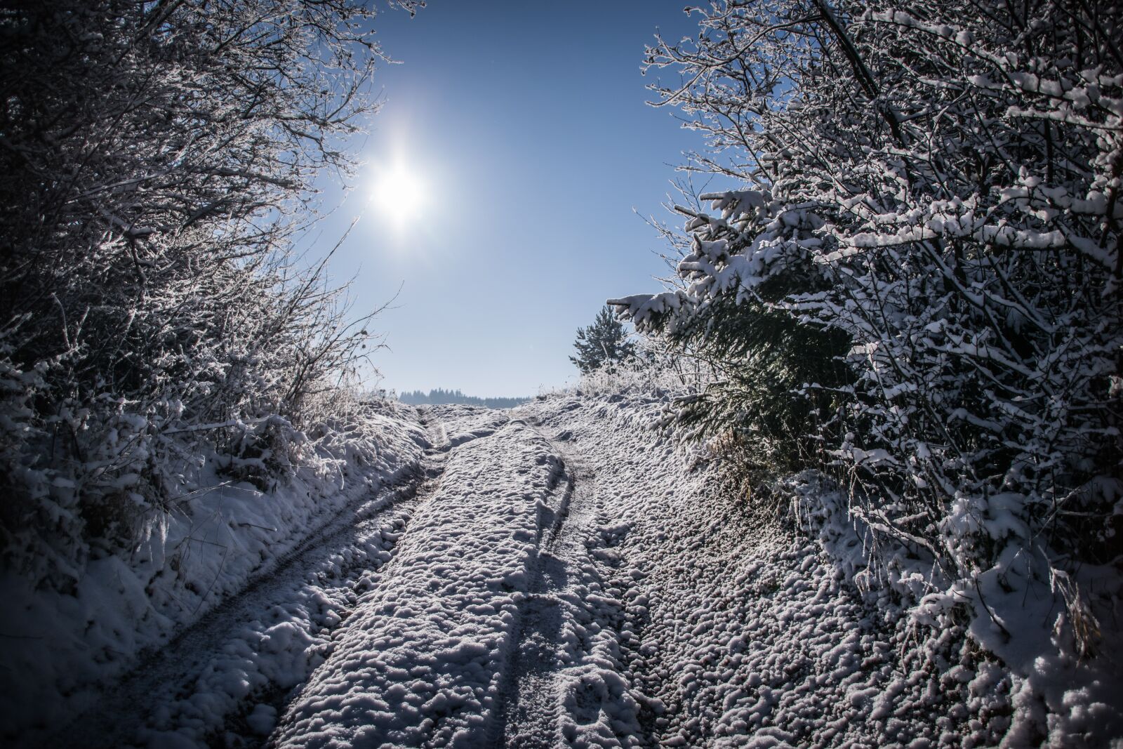 Nikon D5300 sample photo. Path, winter, snow photography