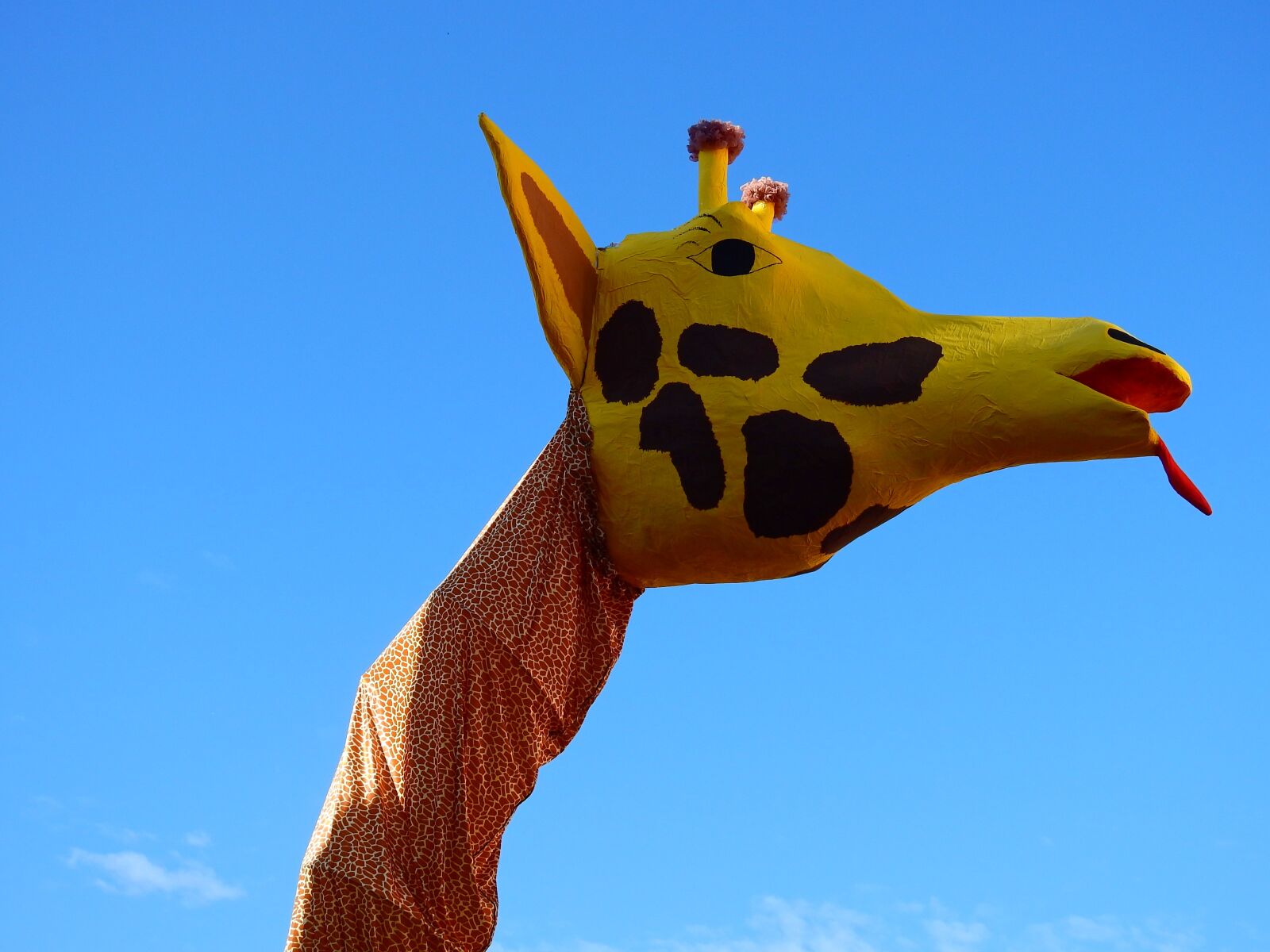 Nikon Coolpix P900 sample photo. Carnival, move, giraffe photography