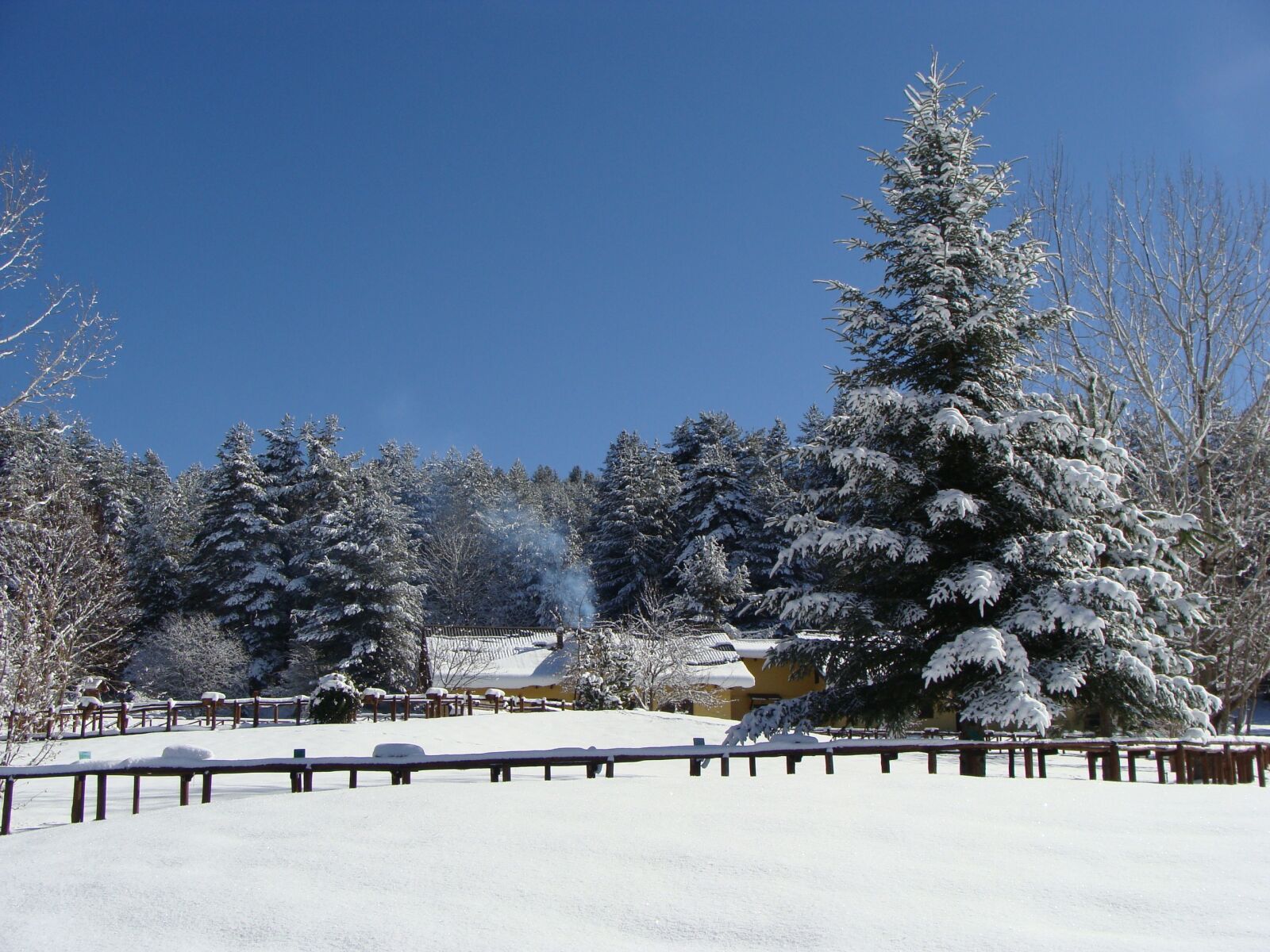 Sony Cyber-shot DSC-H10 sample photo. Sila, mountain, snow photography