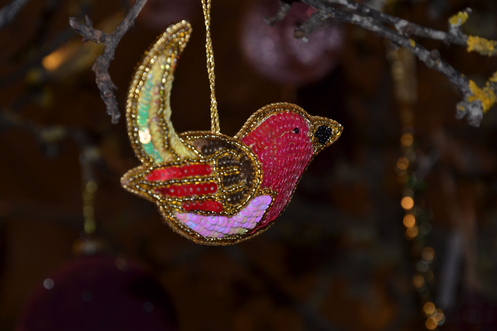 Nikon D3100 sample photo. Christmas, christmas tree, christmas photography