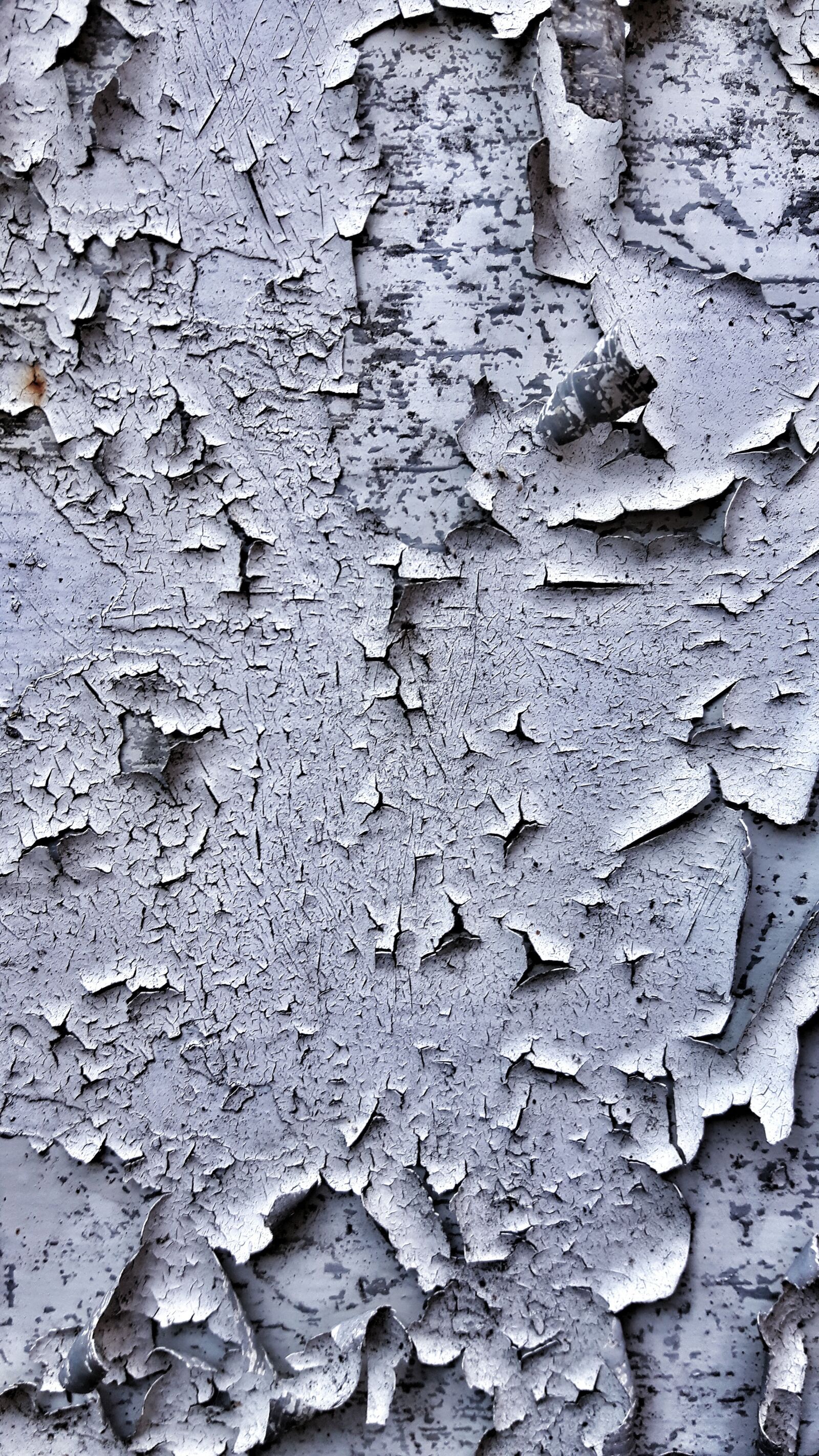 Samsung Galaxy S5 Neo sample photo. Iron, rust, texture photography